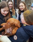 Schüler mit jungem Hund