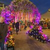 25_Oradea_05